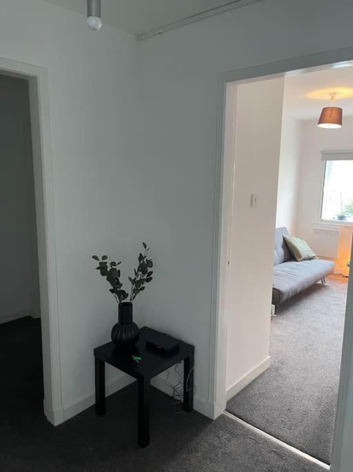 Modern 2 Bedroom City Apartment Glasgow Buitenkant foto